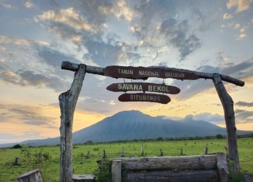 Exploring the Hidden Treasures of Baluran National Park’s Untamed Wilderness